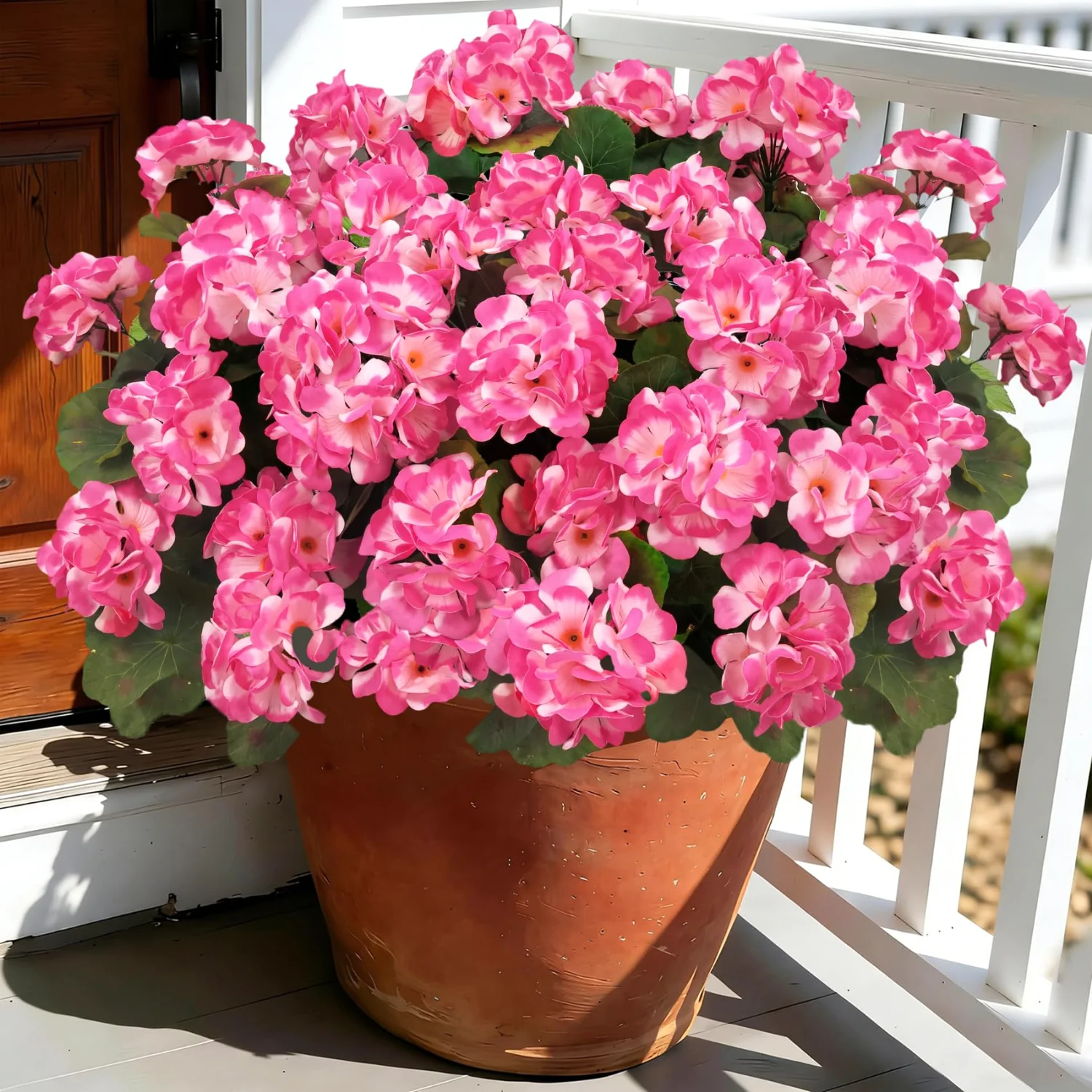 Bassion Fake geraniums, 6 pack in Pink