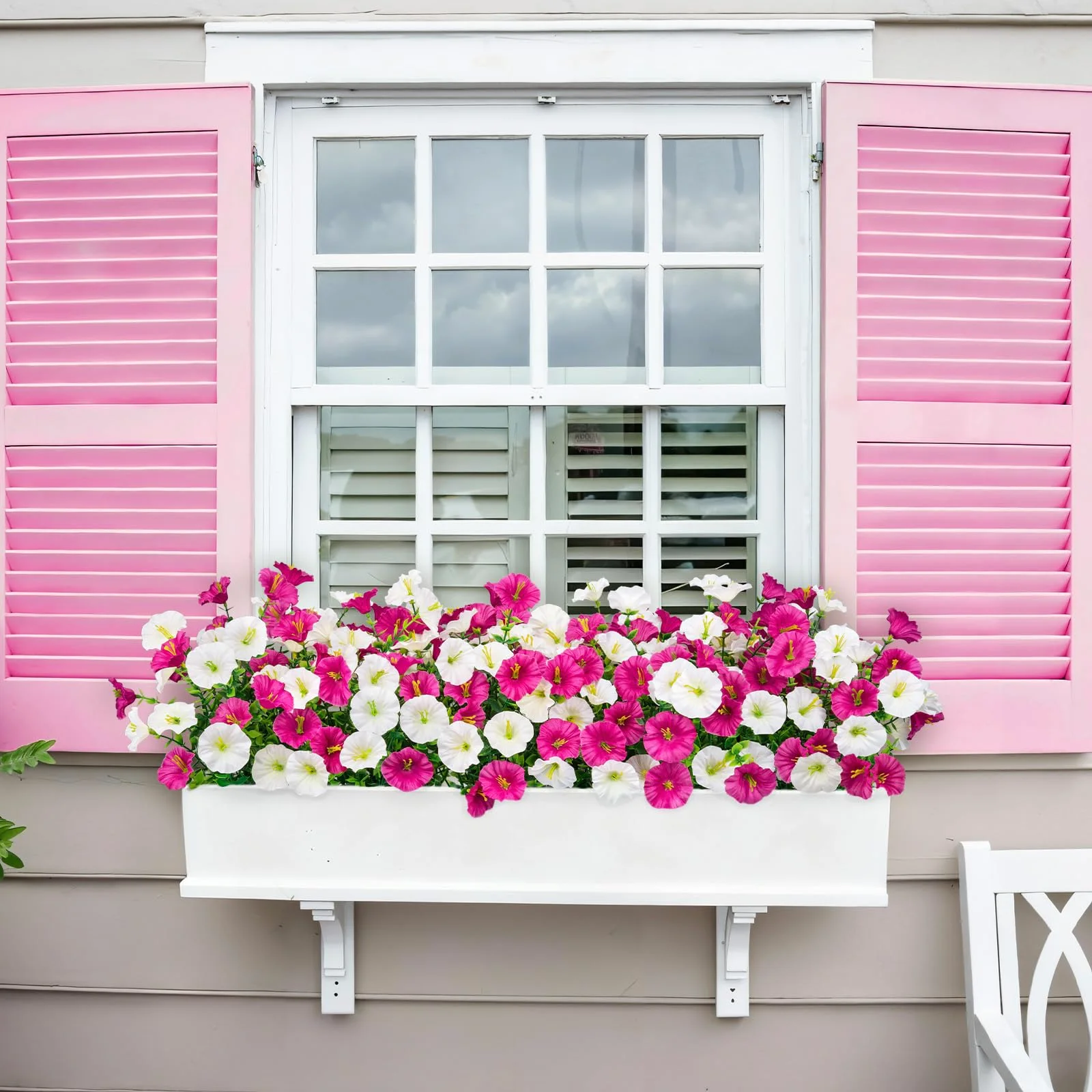 Bassion pink and fuchsia flowers
