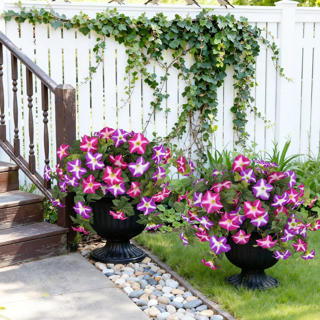 Bassion Petunia bushes, 2 pack in Fuchsia, view 2