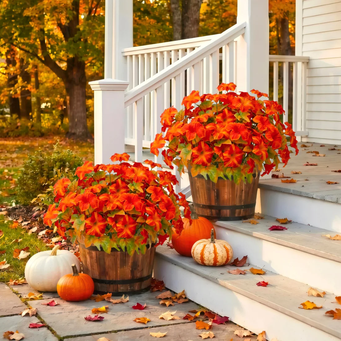 Bassion Fall petunias, 4 pack in Orange, view 4