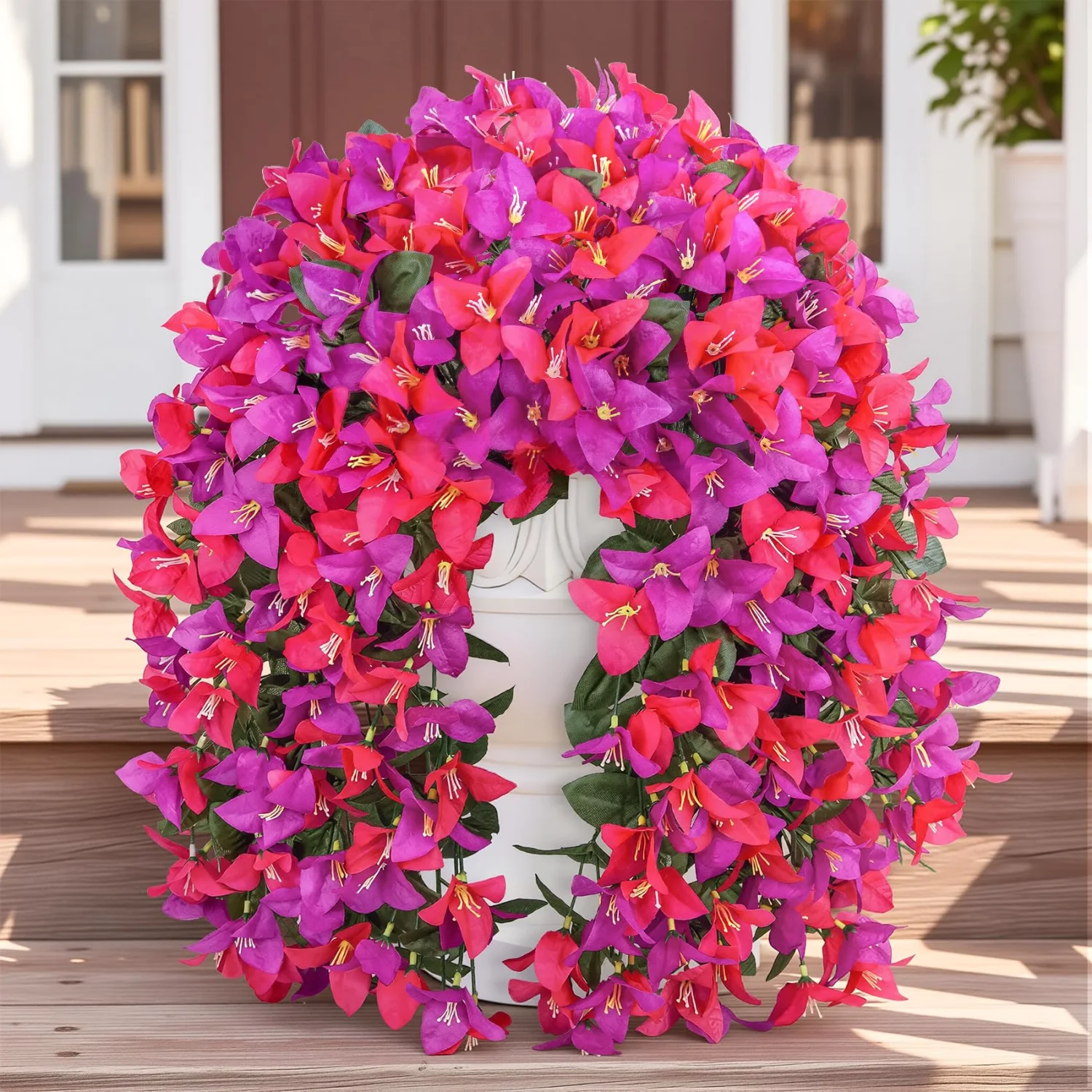 Bassion Hanging bougainvillea, 2 pack in Purple Hot Pink
