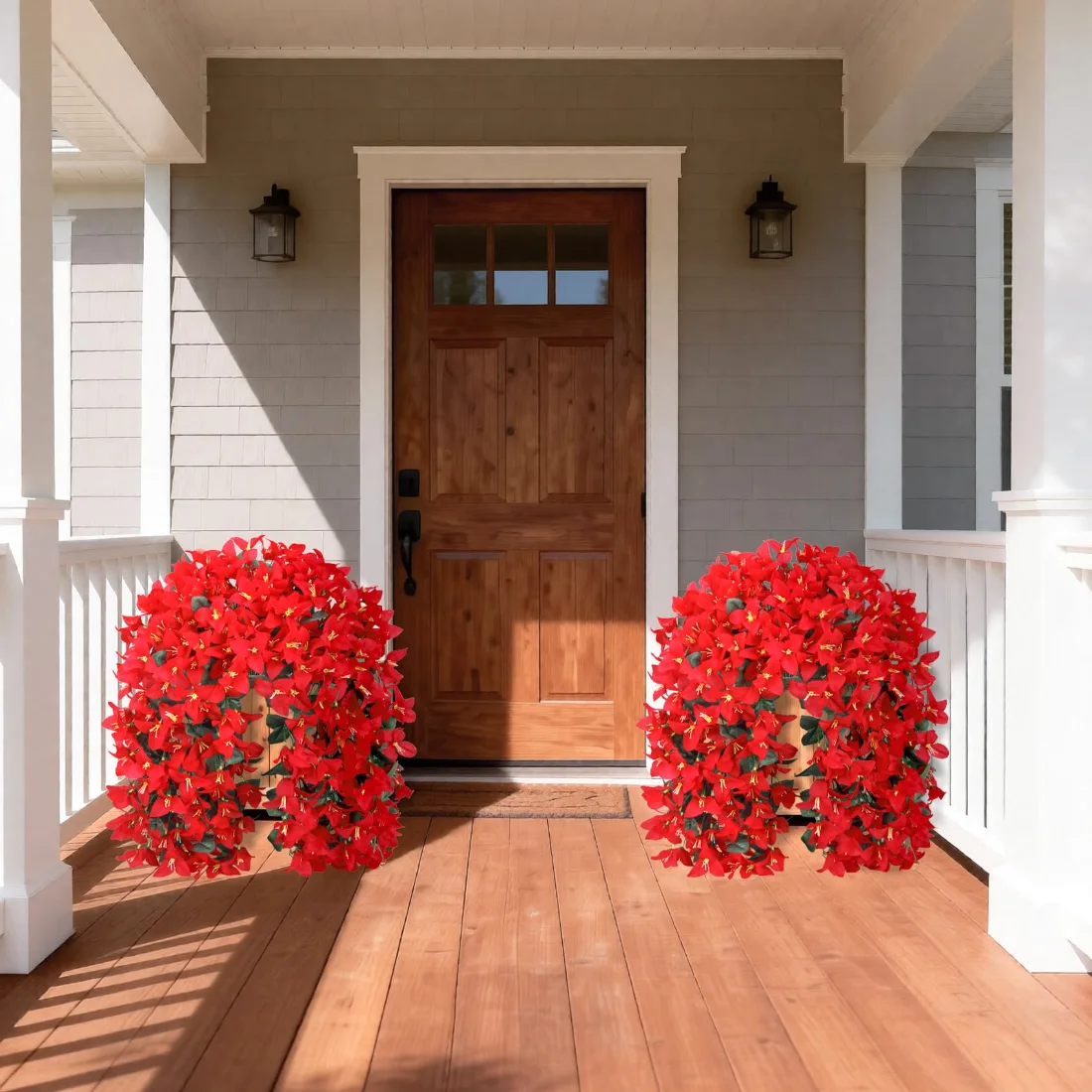 Bassion Hanging bougainvillea, 2 pack in Red, view 3