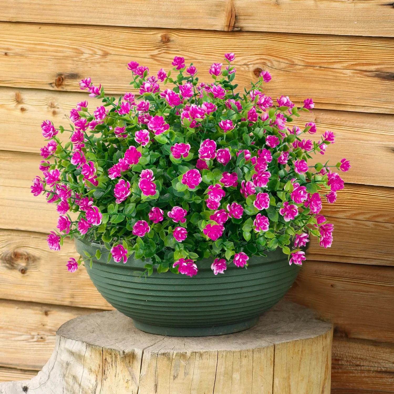 Bassion Boxwood blossom bundles, 20 pack in Fuchsia