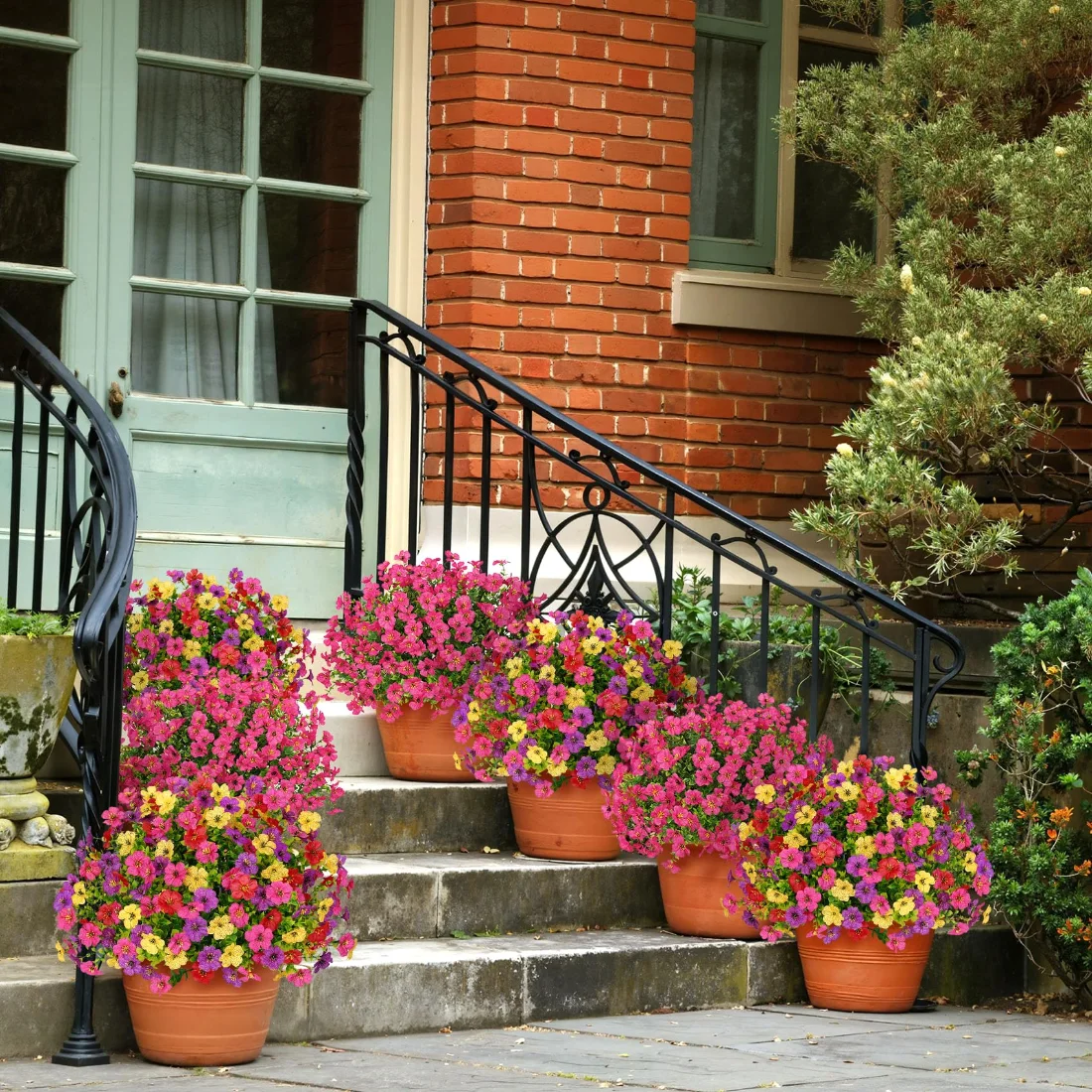 Bassion Outdoor flower bundles, 16 pack in Fuchsia, view 3