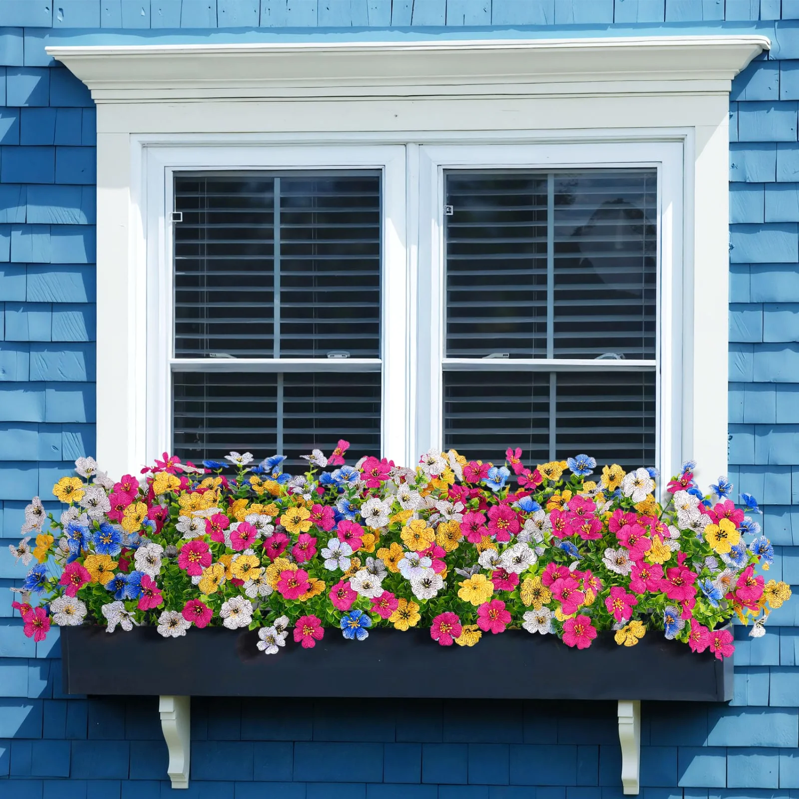Bassion outdoor flowers