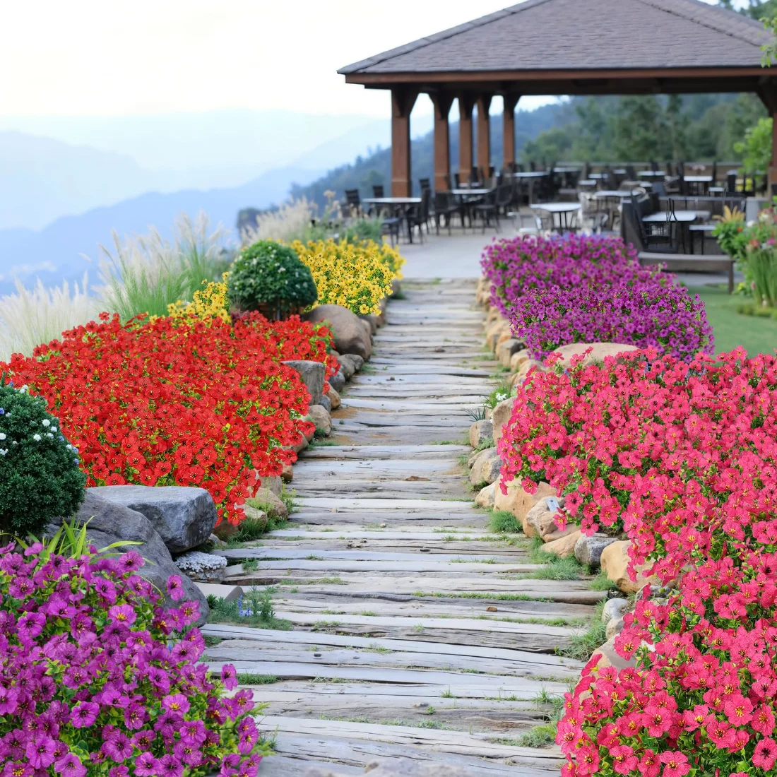 Bassion Outdoor flower bundles, 16 pack in Purple Fuchsia Red Yellow, view 4