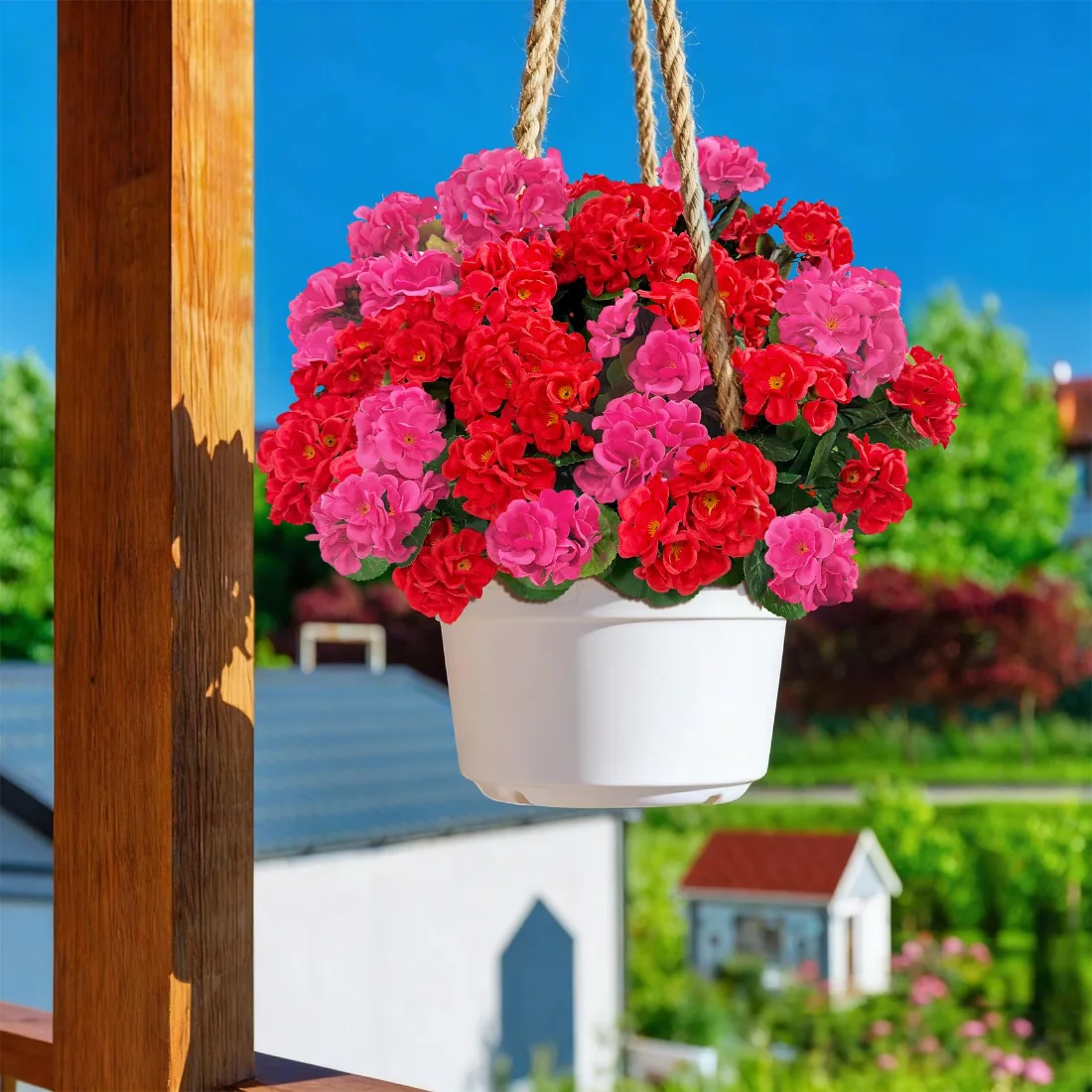 Bassion Fake geraniums, 6 pack in Mixed, view 3