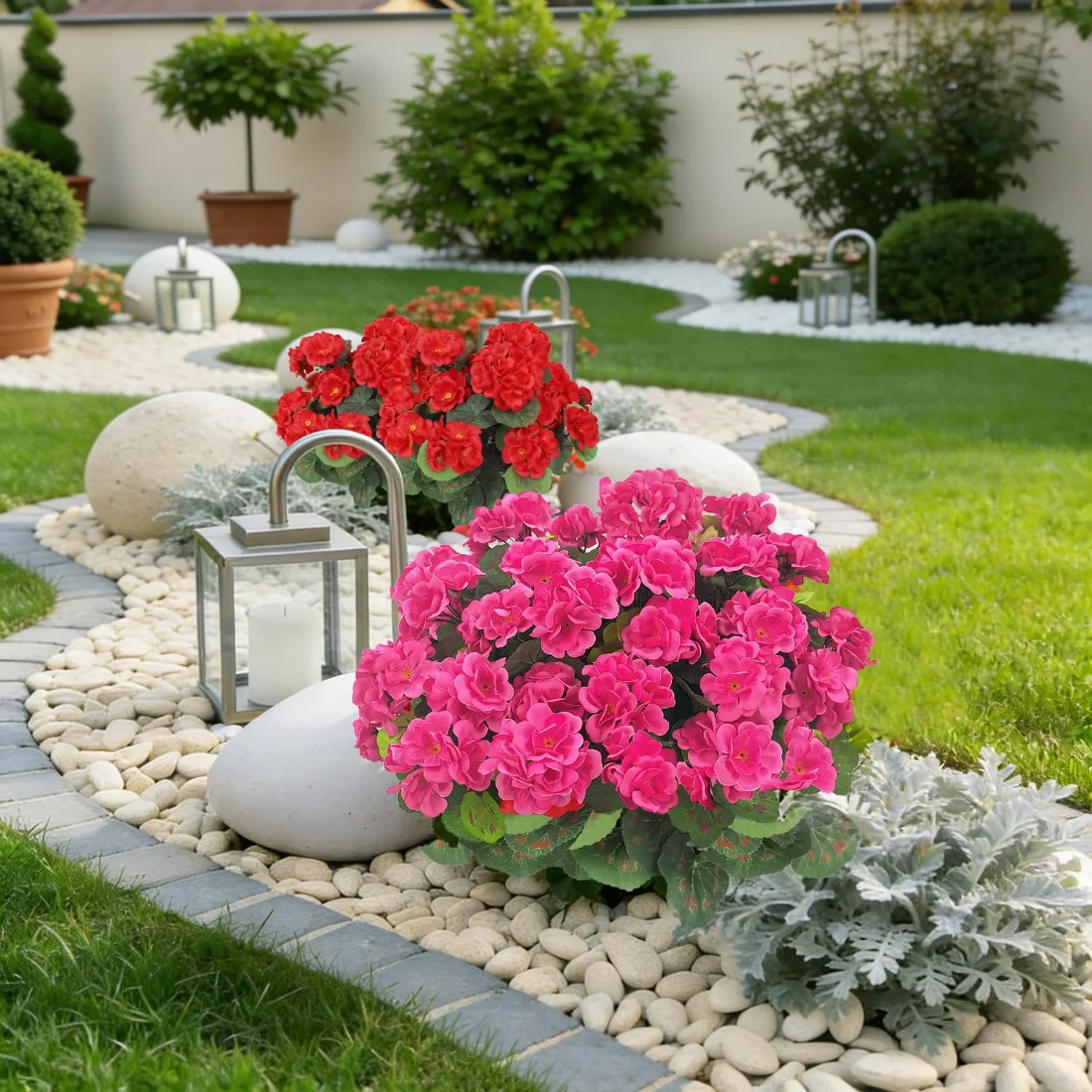 Bassion Fake geraniums, 6 pack in Mixed, view 4