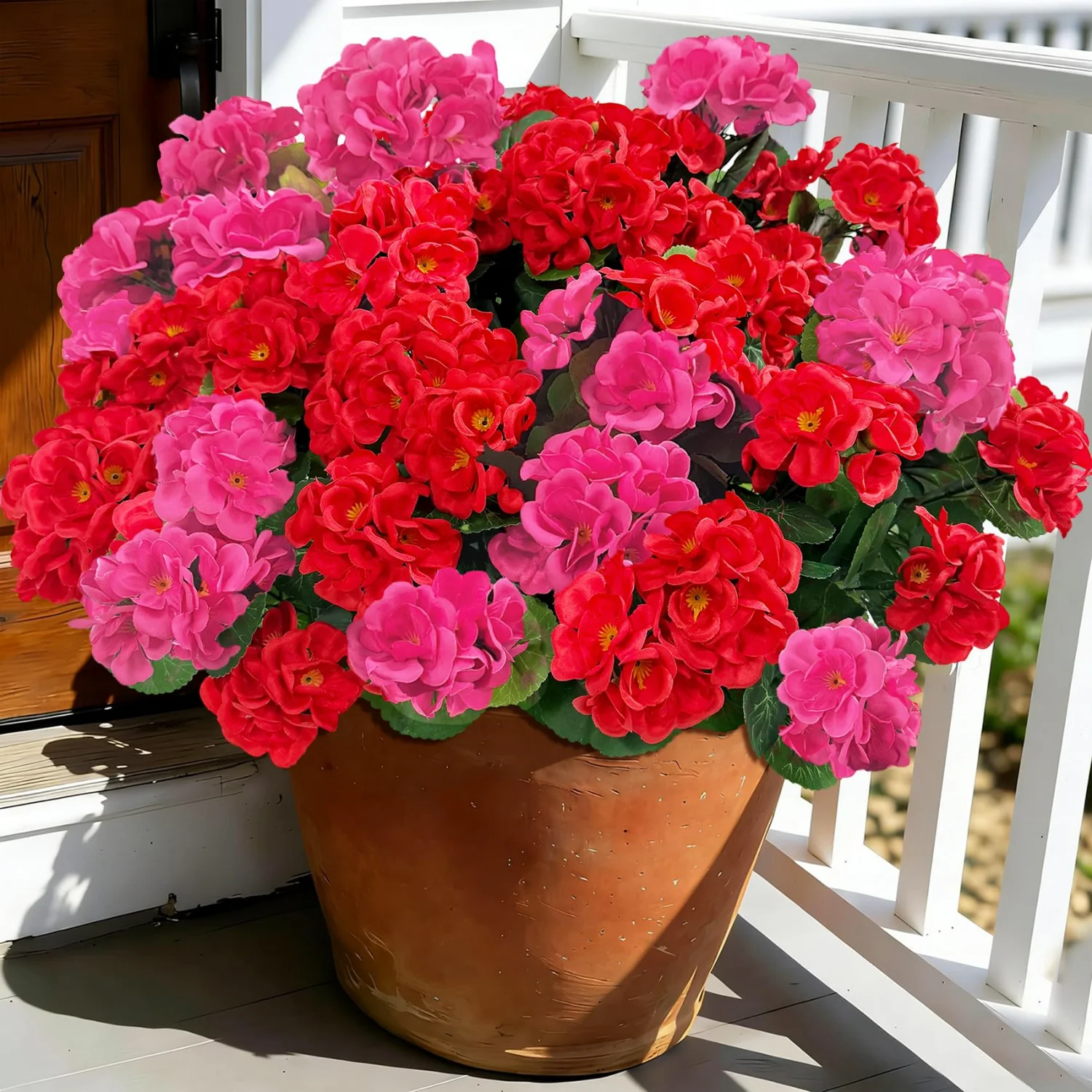 Bassion Fake geraniums, 6 pack in Mixed