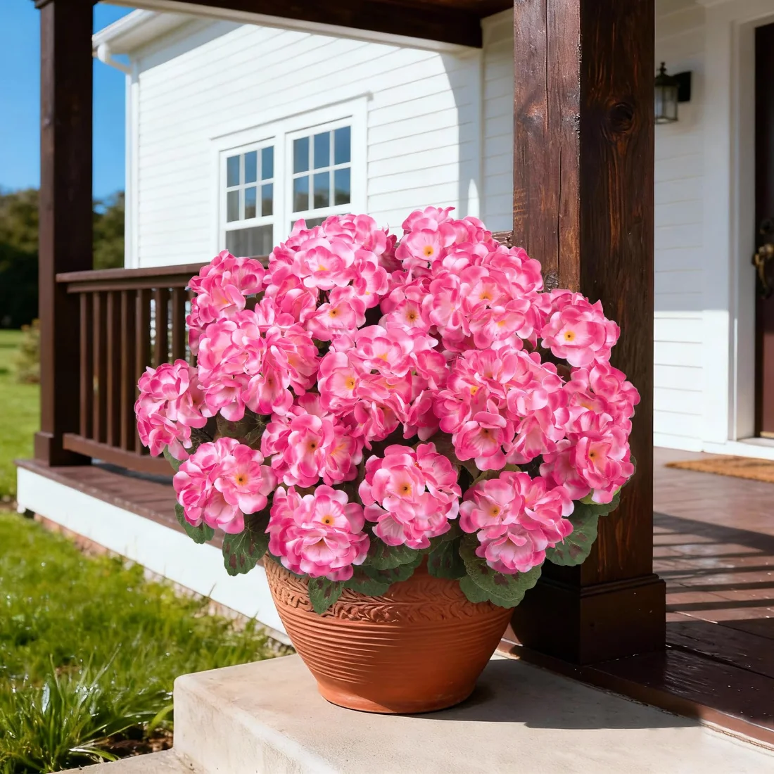 Bassion Fake geraniums, 6 pack in Pink, view 5