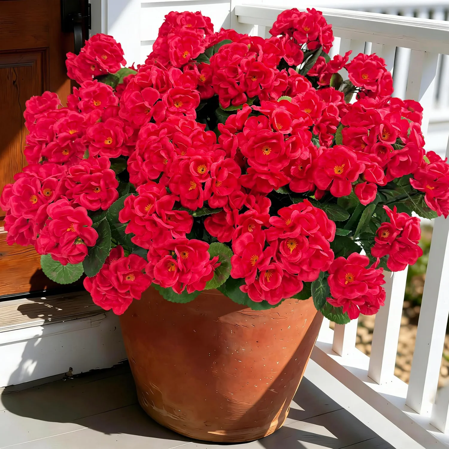 Bassion Fake geraniums, 6 pack in Red