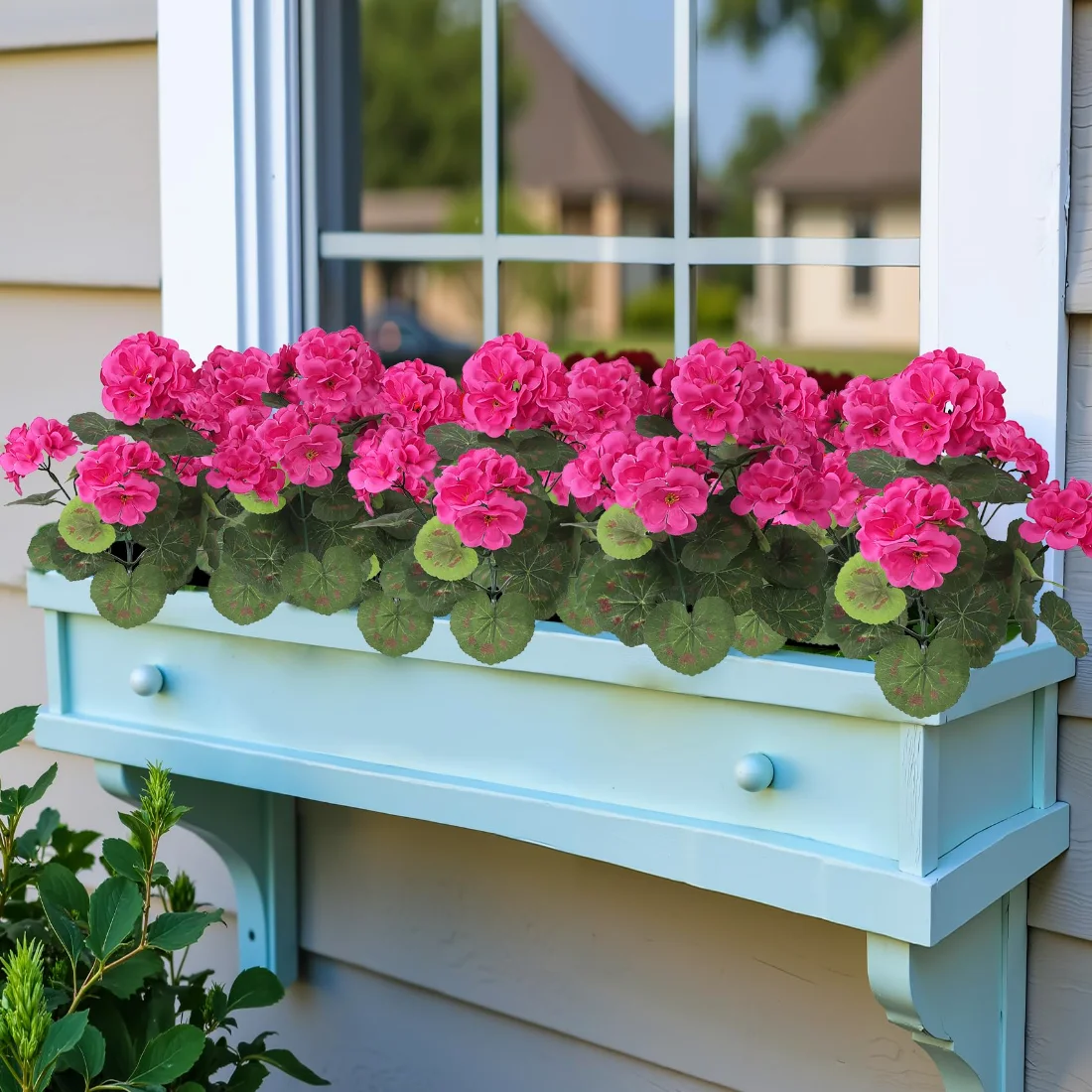 Bassion Fake geraniums, 4 pack in Rose Red, view 5