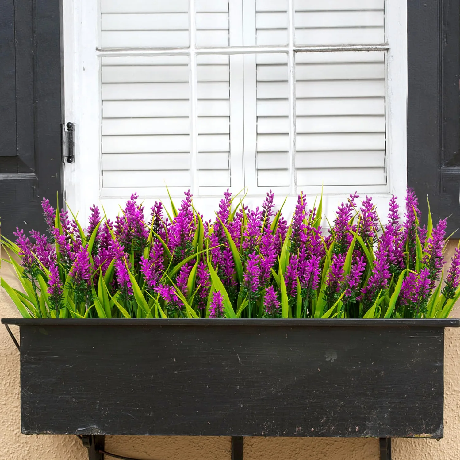Bassion Window box lavender, 24 bundles in Fuchsia