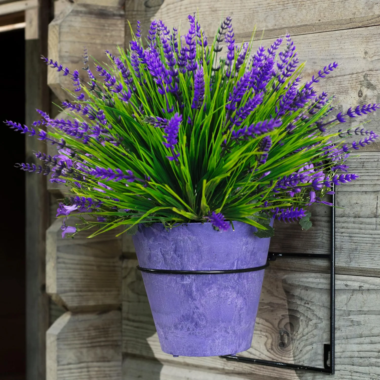 Bassion Fake lavender, 12 bundles in Purple
