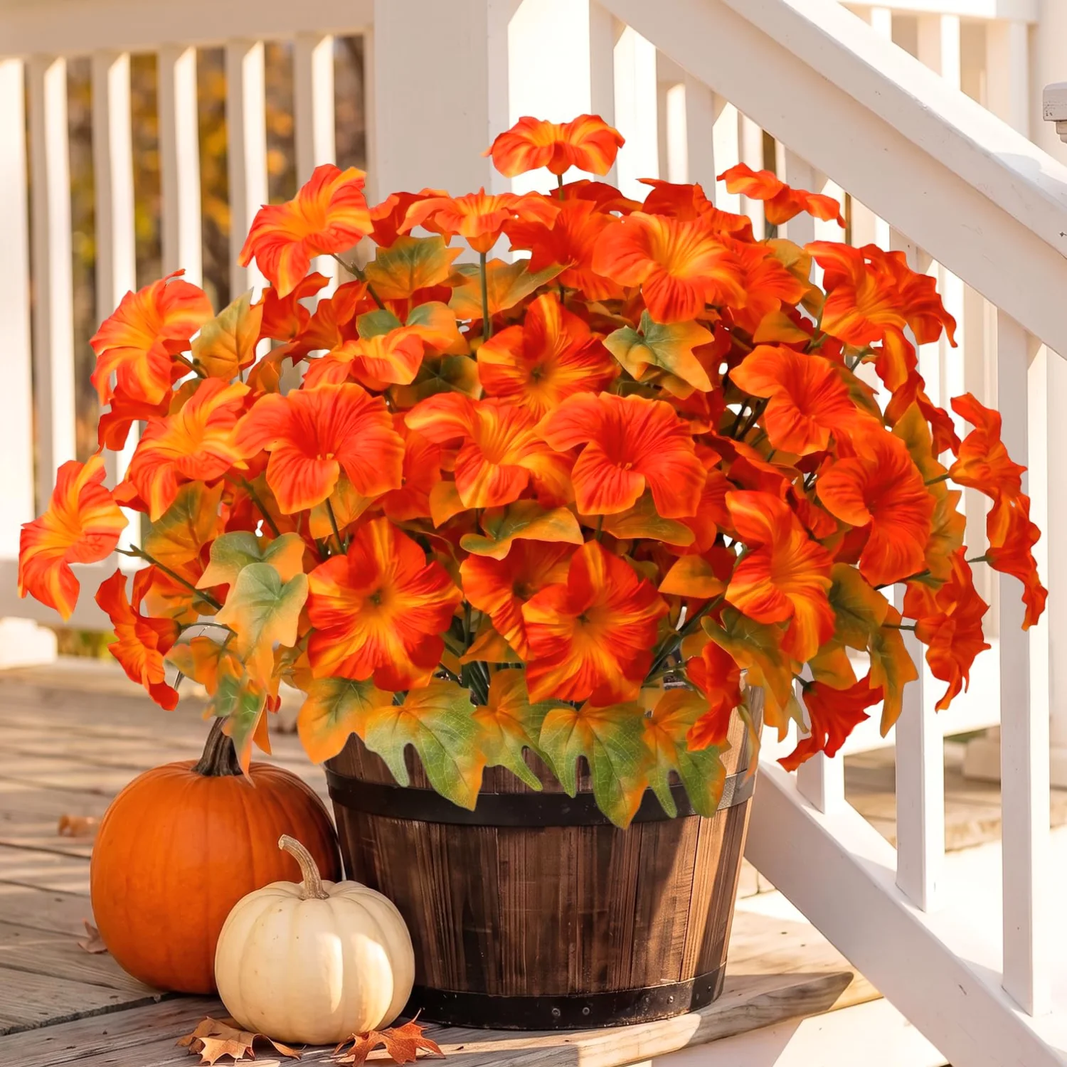 Bassion Fall petunias, 4 pack in Orange