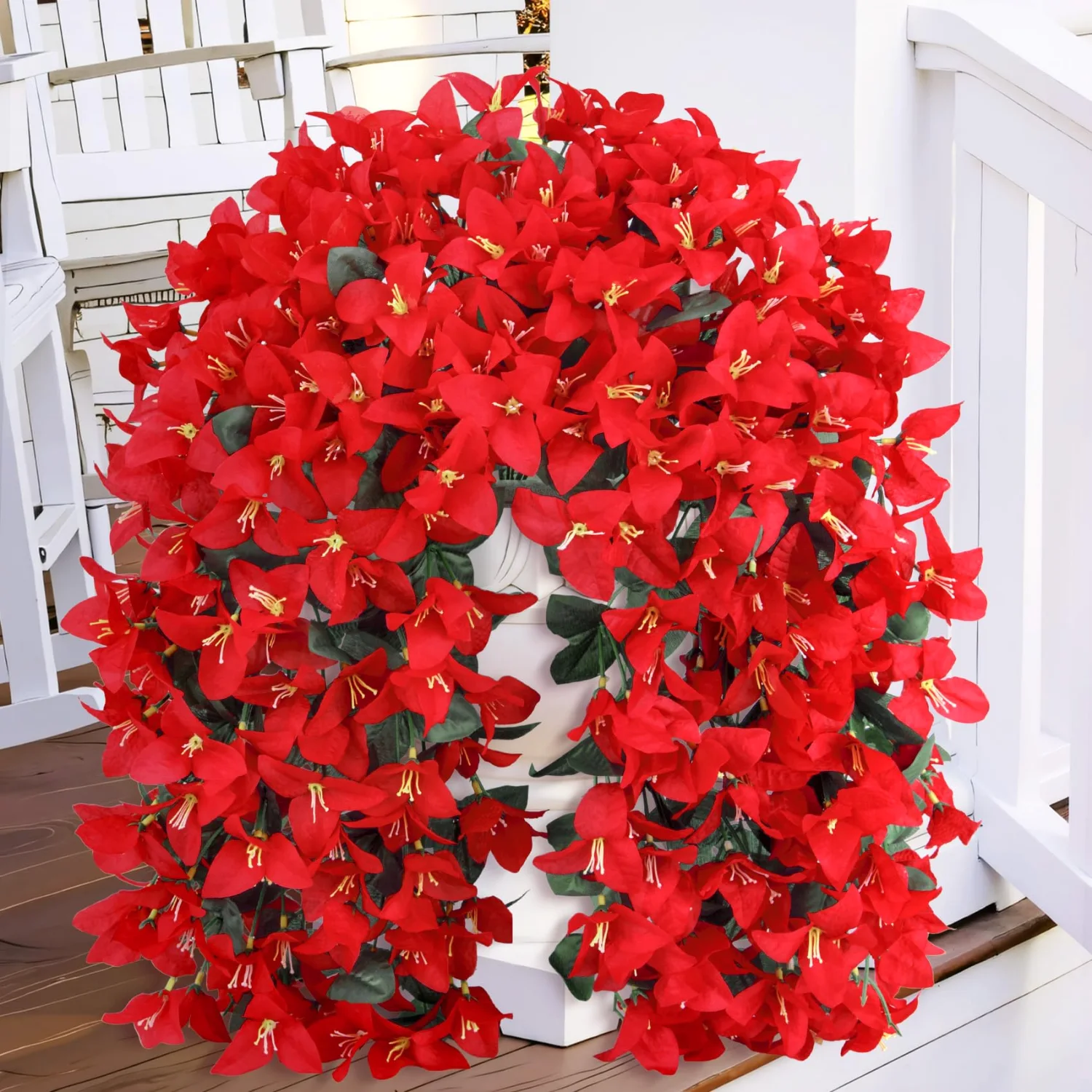 Bassion Hanging bougainvillea, 2 pack in Red