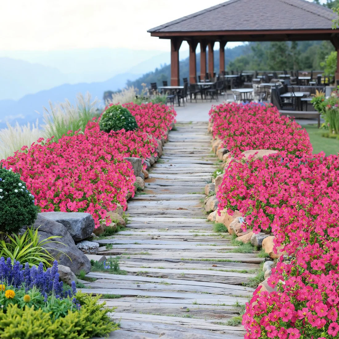 Bassion Outdoor flower bundles, 16 pack in Fuchsia, view 4