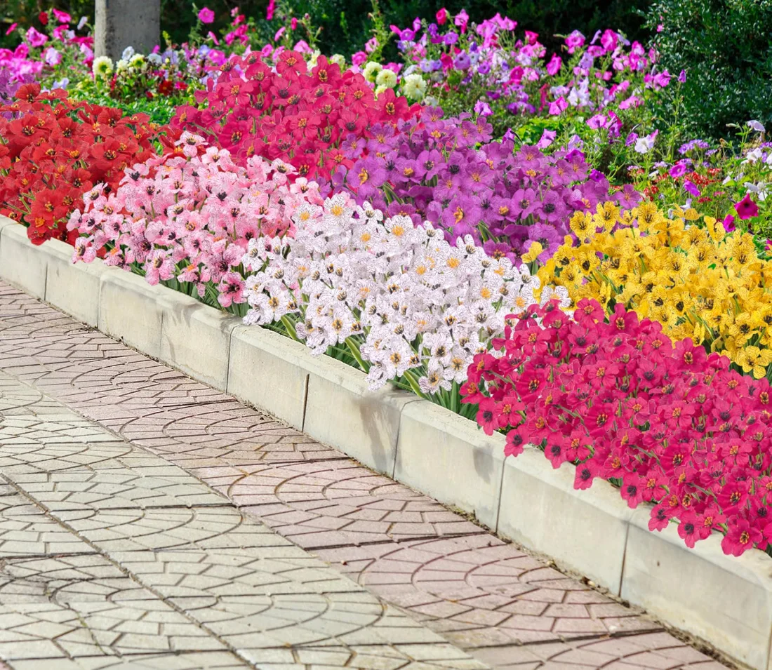 Bassion Five-stem outdoor bundles, 24 pack in Mixed, view 5
