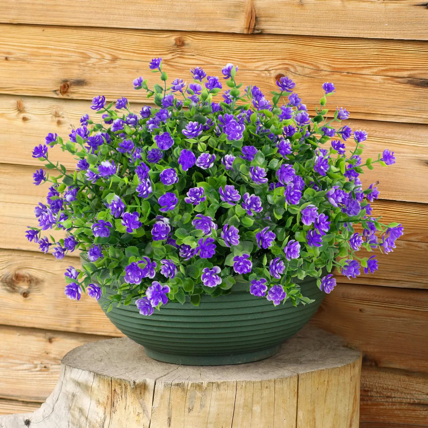 Bassion Boxwood blossom bundles, 20 pack in Purple