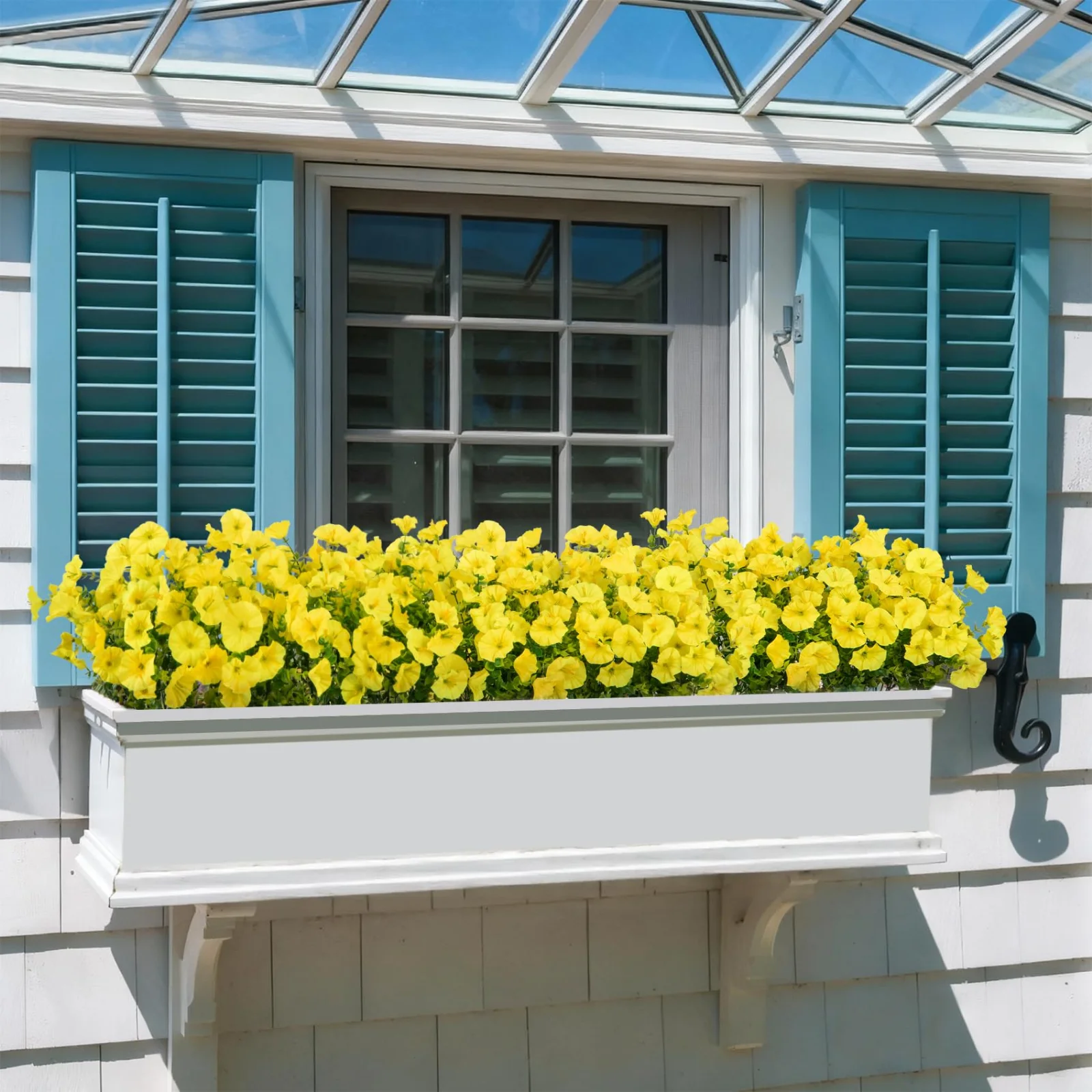 Bassion window box flowers